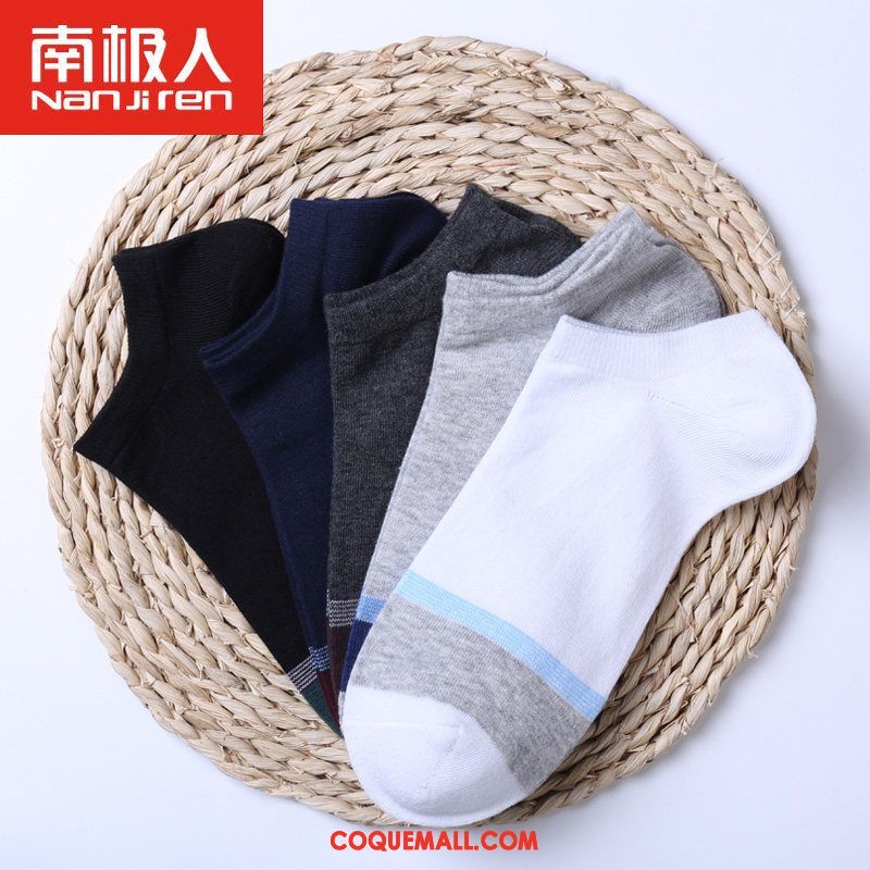 Chaussette Homme Chaussettes En Coton Transpiration Section Mince, Chaussette Chaussette Basse Coupée Chaussette Courte