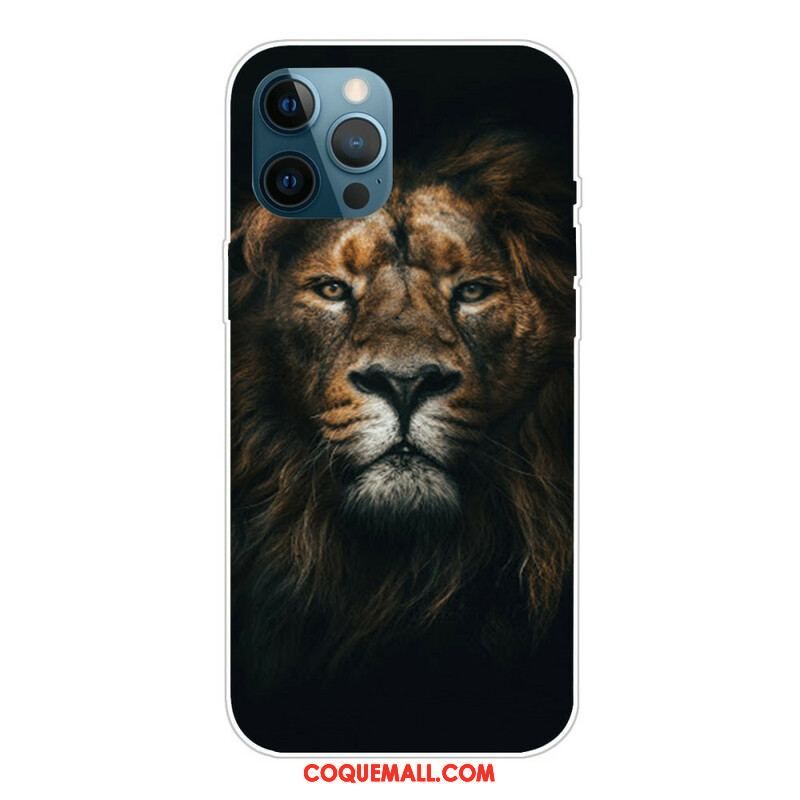 Coque iPhone 13 Pro Fabuleux Félin