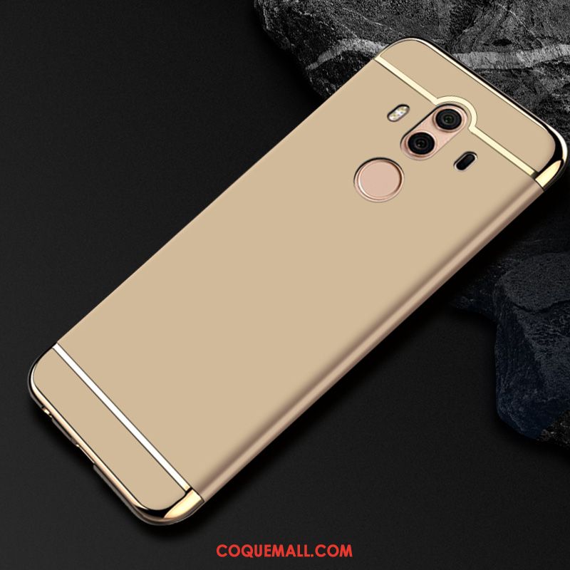 Étui Huawei Mate 10 Pro Téléphone Portable Difficile Protection, Coque Huawei Mate 10 Pro Membrane Tempérer Nackte Farbe