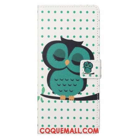 Housse Xiaomi Redmi Note 13 5G Hibou Endormi